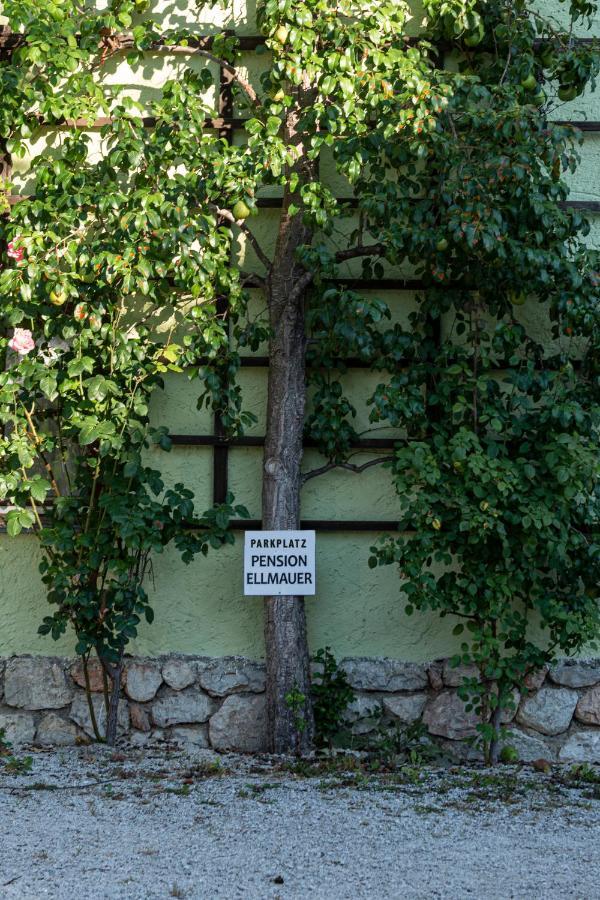 Aberseeblick Pension Ellmauer Saint Wolfgang Exterior foto